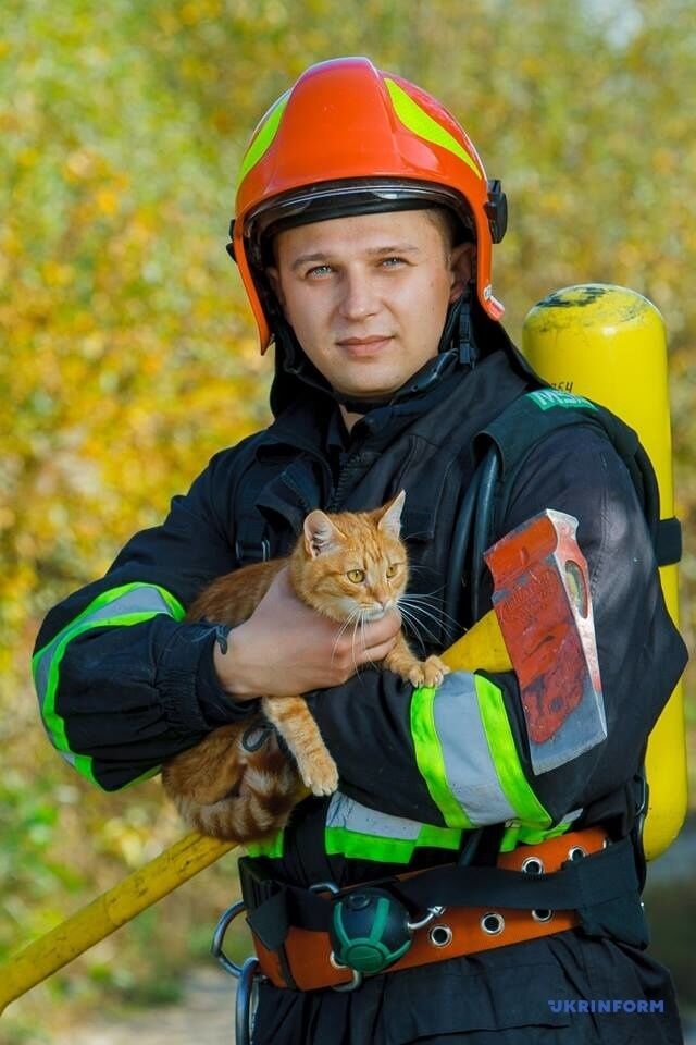Акция украинских спасателей в поддержку животных: фото круче, чем у австралийских пожарных