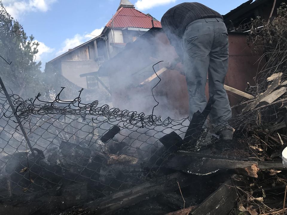 Сожжены дома, убиты животные: в сети показали жуткие фото последствий обстрела Водяного