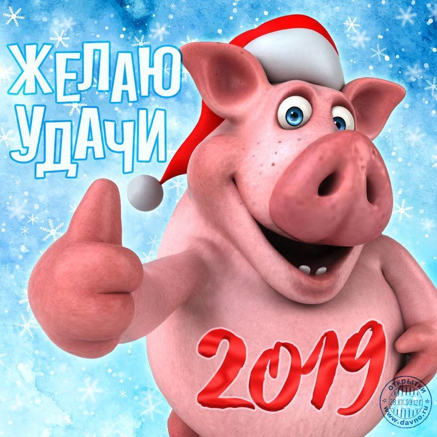 Поздравления с Новым годом 2019: лучшие открытки, картинки, приколы и стихи