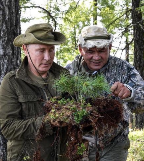 Путін пішов в ліс і рвав там кущі: в мережі сміються над фото