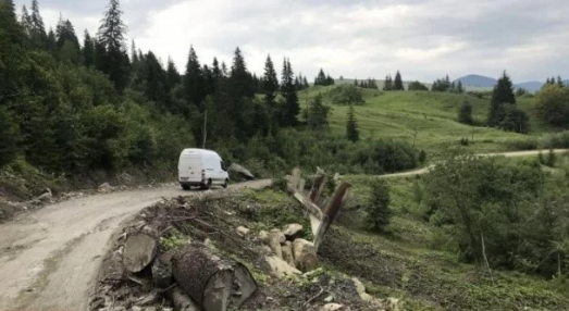 Непогода на Прикарпатье отрезала от мира сразу ряд поселков