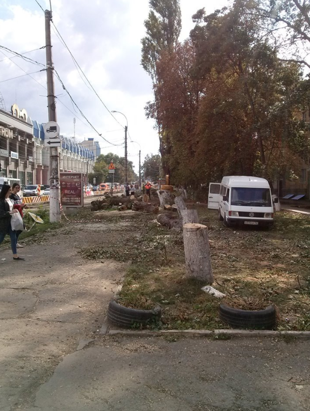 После нас - хоть потоп: как оккупанты уничтожают Крым, фото