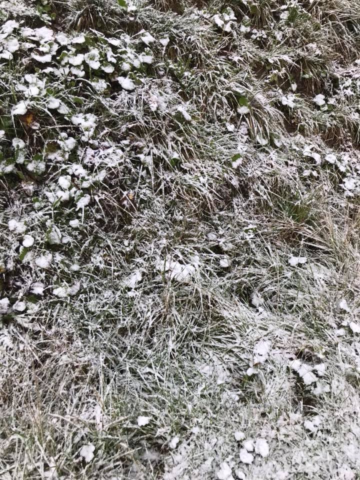 Карпаты замело первым снегом: в сети показали впечатляющие фото и видео