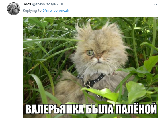 Схожа на трудовика-алкаша: фото пропагандистки Путіна жорстко висміяли в мережі