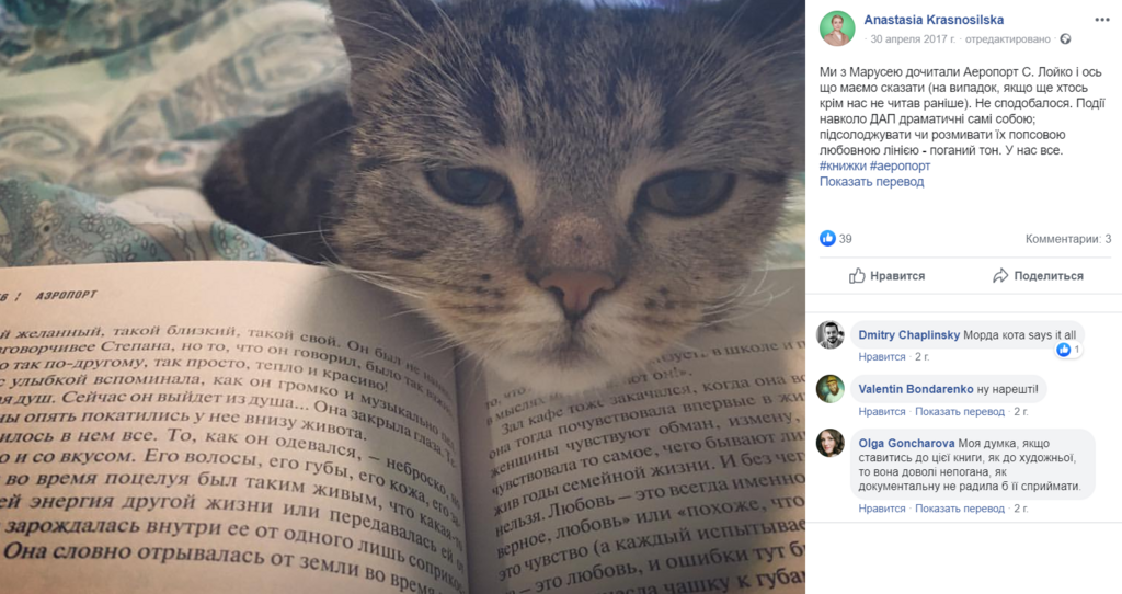 ''Безцінне'' майно: в декларації ''Слуги народу'' знайшлася кішка Маруся, її фото