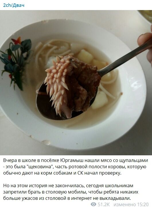 Щоковина в супі налякала всю Росію: що це таке, фото