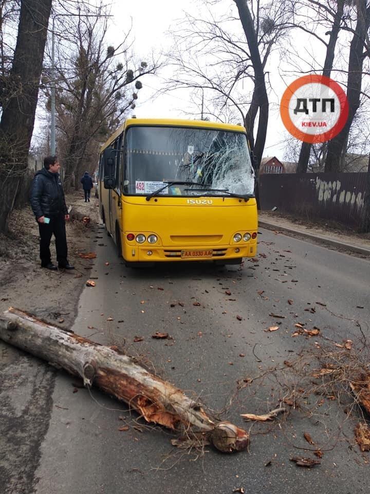 Что натворил сильный ветер в Киеве: фото