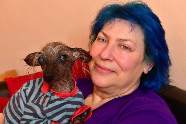 У Британії помер найпотворніший пес Чейз, фото