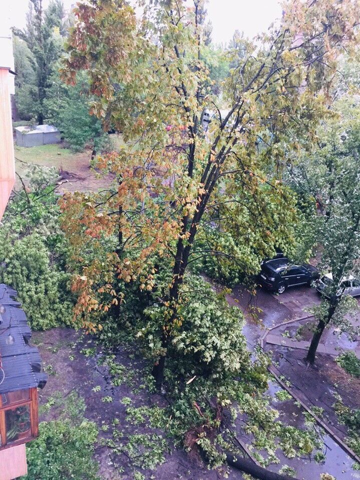 Как прошел ураган в Киеве: фото и видео