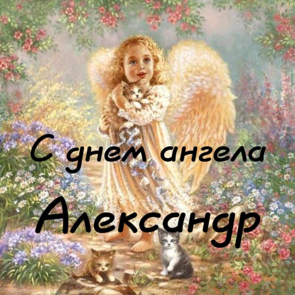 З Днем ангела, Олександр! Картинки і листівки для поздоровлення на іменини