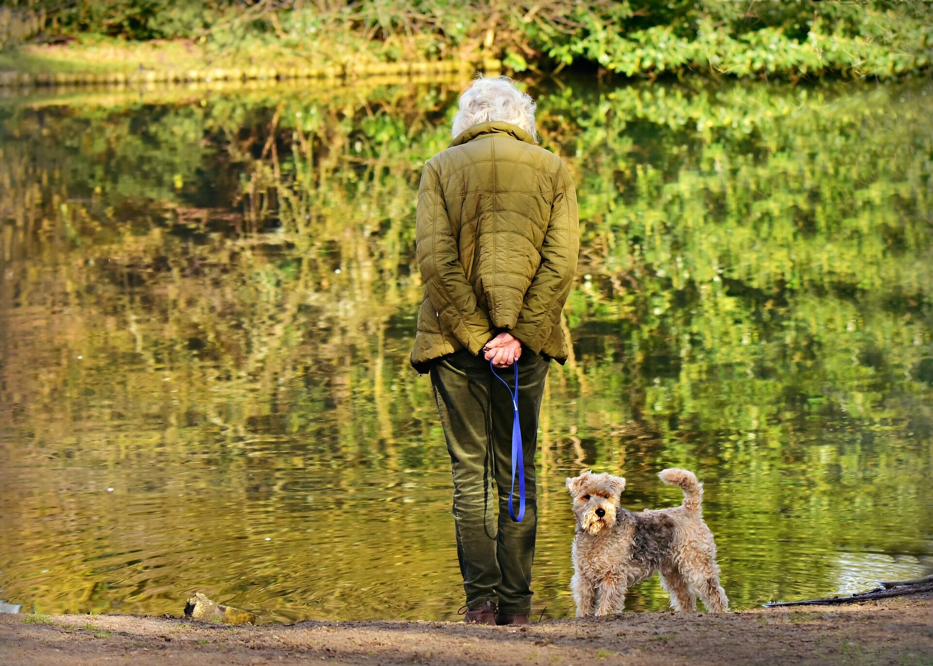 День прогулянки з собакою 22 лютого: найкращі картинки і поздоровлення в прозі