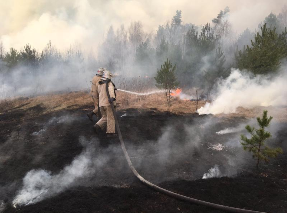 Винуватців масштабних пожеж на Житомирщині затримано
