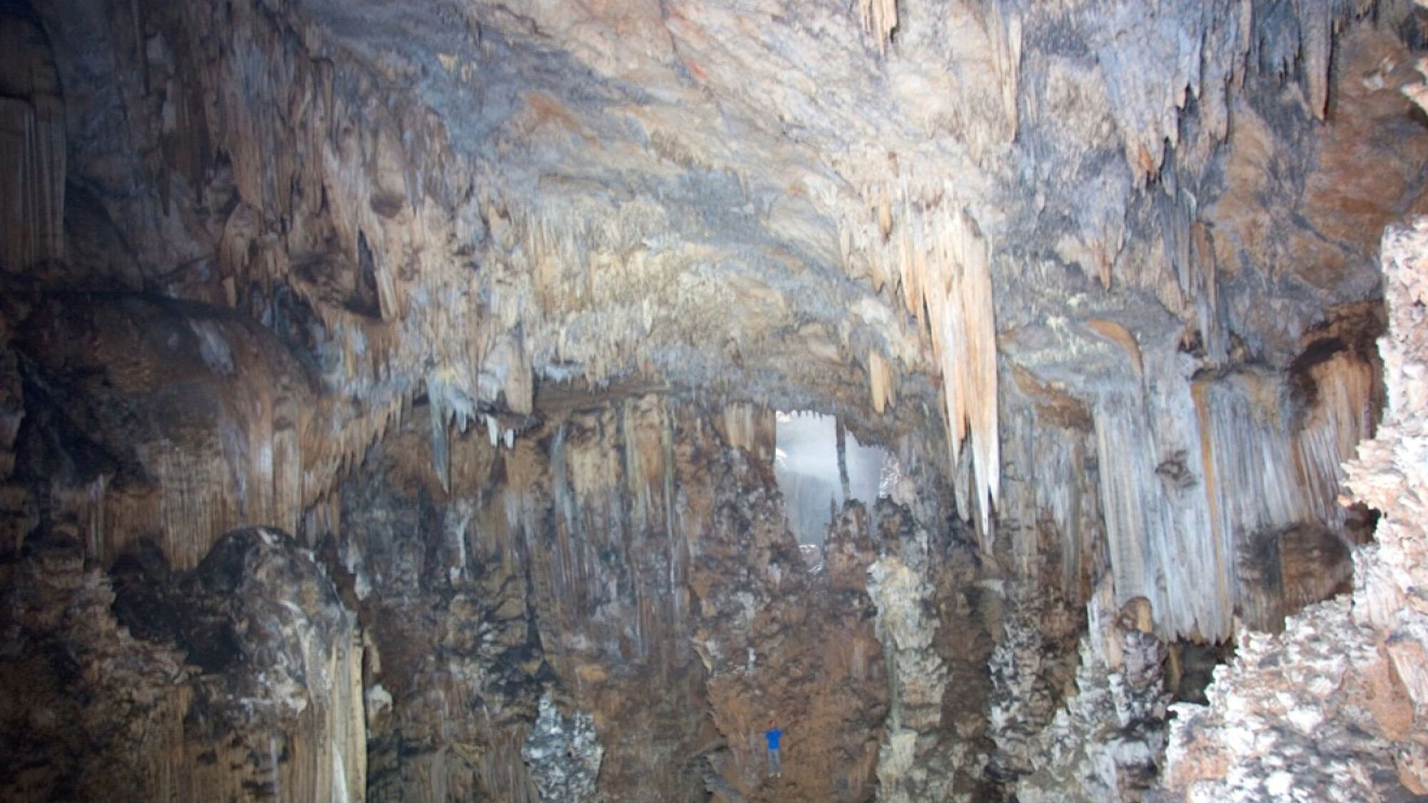 Печера опівнічного жаху (Midnight Terror) в Белізі