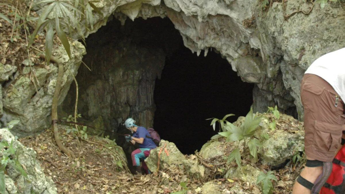 Вхід до печери опівнічного жаху (Midnight Terror) в Белізі