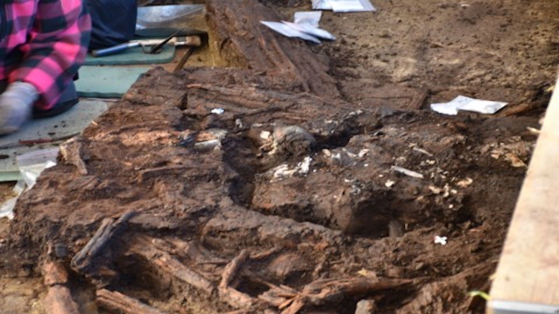 Возраст кремированных болотных костей около 10 500 лет