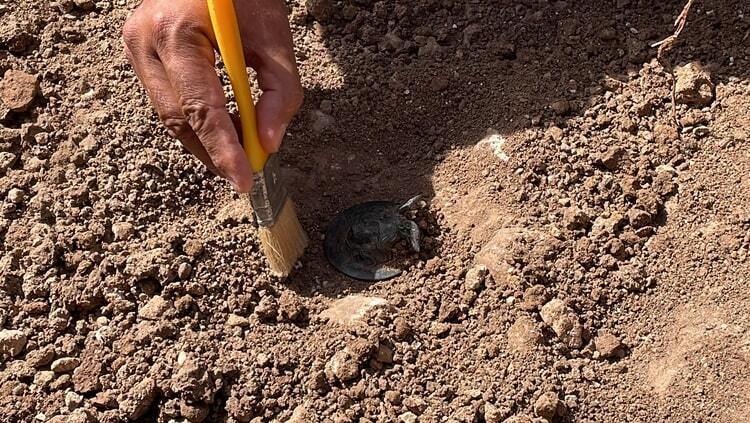 Археологи раскопали 1800-летнюю военную медаль с головой горгоны Медузы