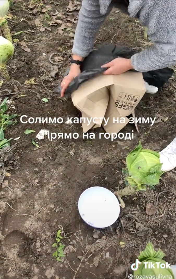 Як засолити капусту на городі - засолити капусту - рецепт з ТікТок