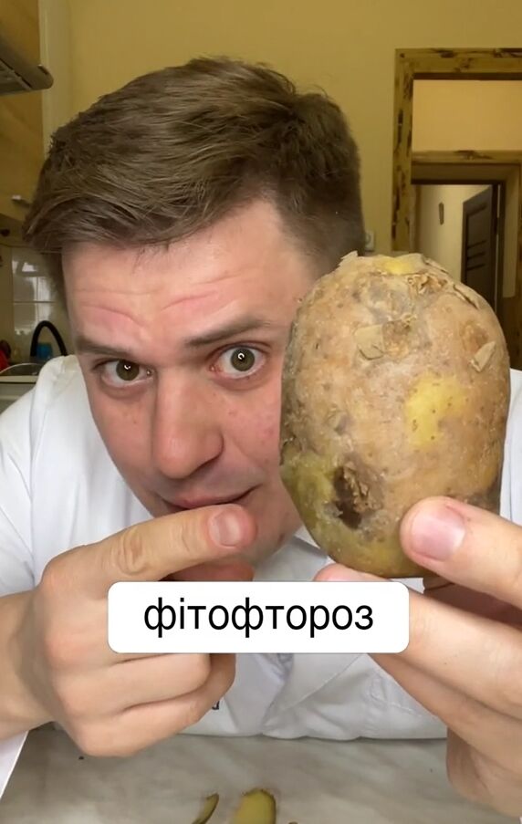 Картофель может болеть фитофторозом