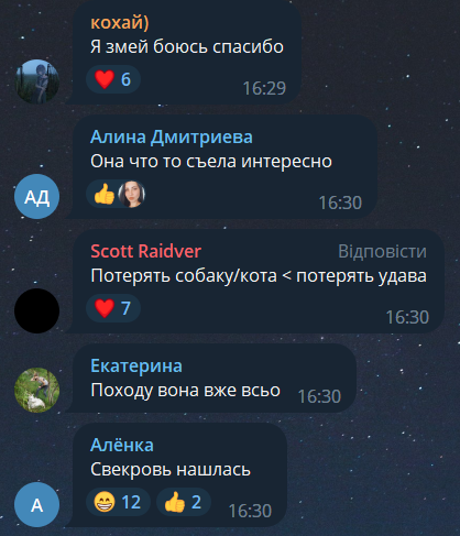 Реакція жителів Києва на змію, яку виявили на Позняках