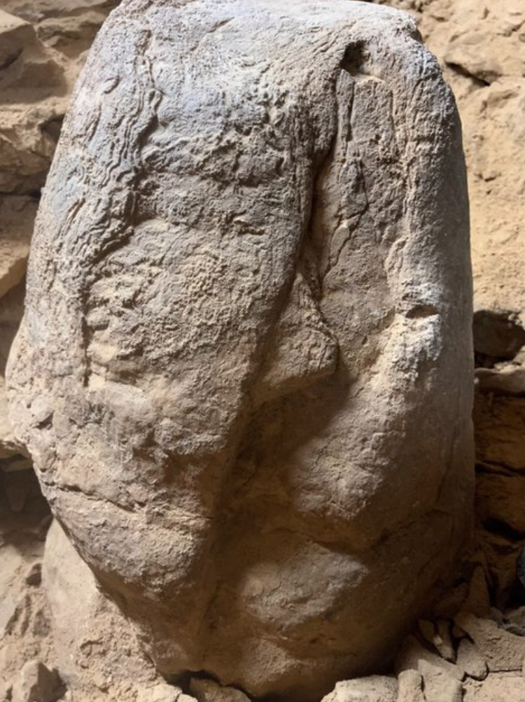 Турецкие археологи провели раскопки в пещере Гедиккая и нашли каменную фигурку, топор, керамику.