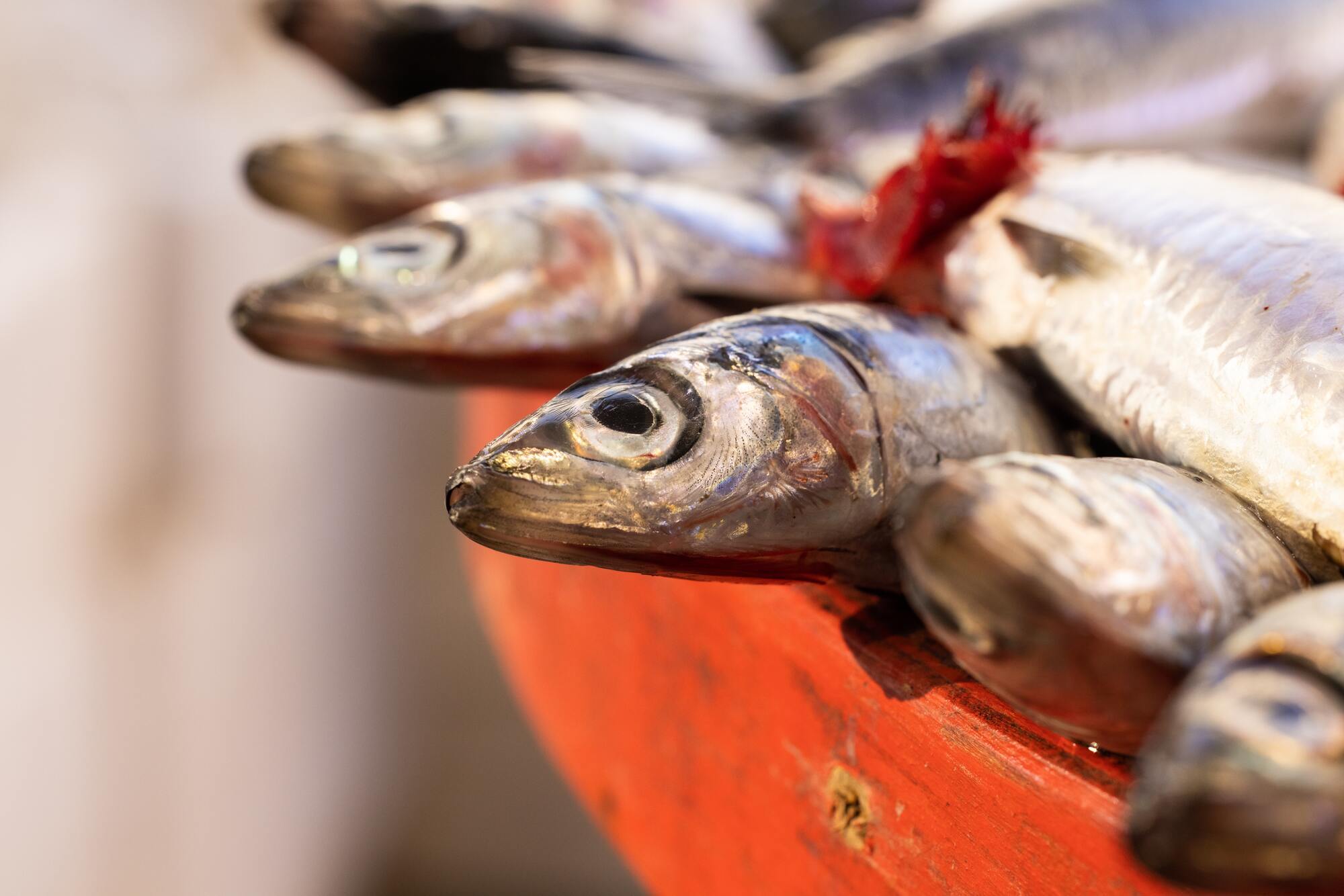 Как чистить рыбу – пять проверенных лайфхаков, как быстро почистить рыбу от чешуи