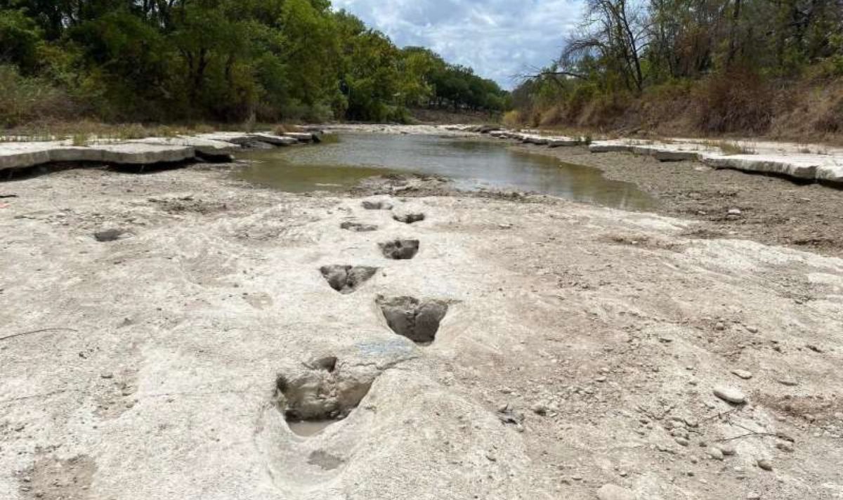 Следы динозавров нашли на дне реки в Техасе