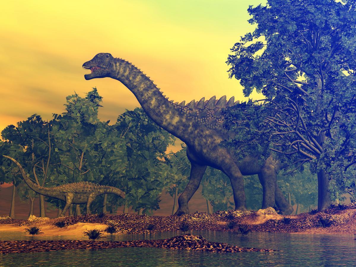 Брахиозавр – динозавр-зауропод