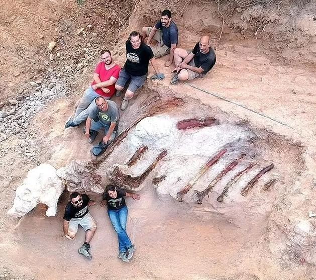 Палеонтологи нашли останки динозавра зауропода