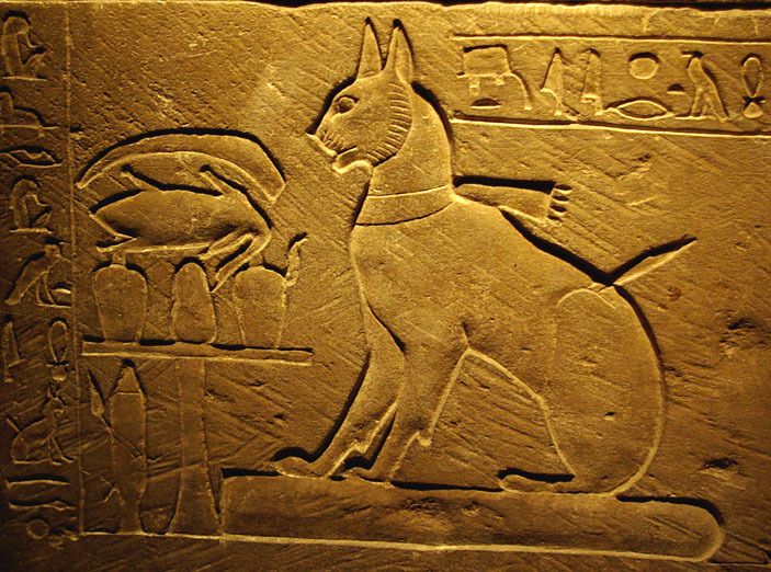 Самый первый кошачий ''портрет'': роспись в одной из гробниц к югу от Каира, сделанная около 1950 года до н.э.