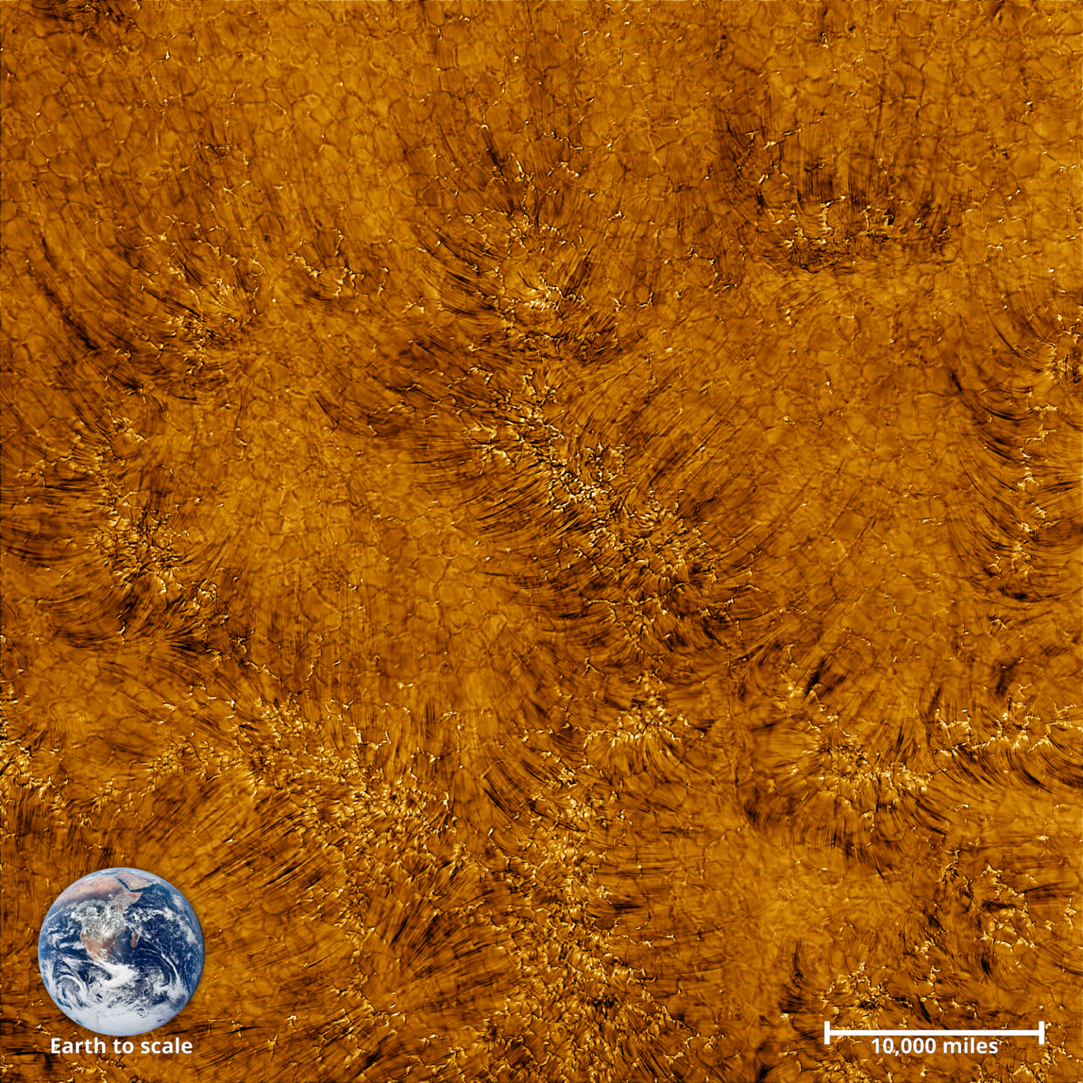 Телескоп DKIST сделал снимки хромосферы Солнца