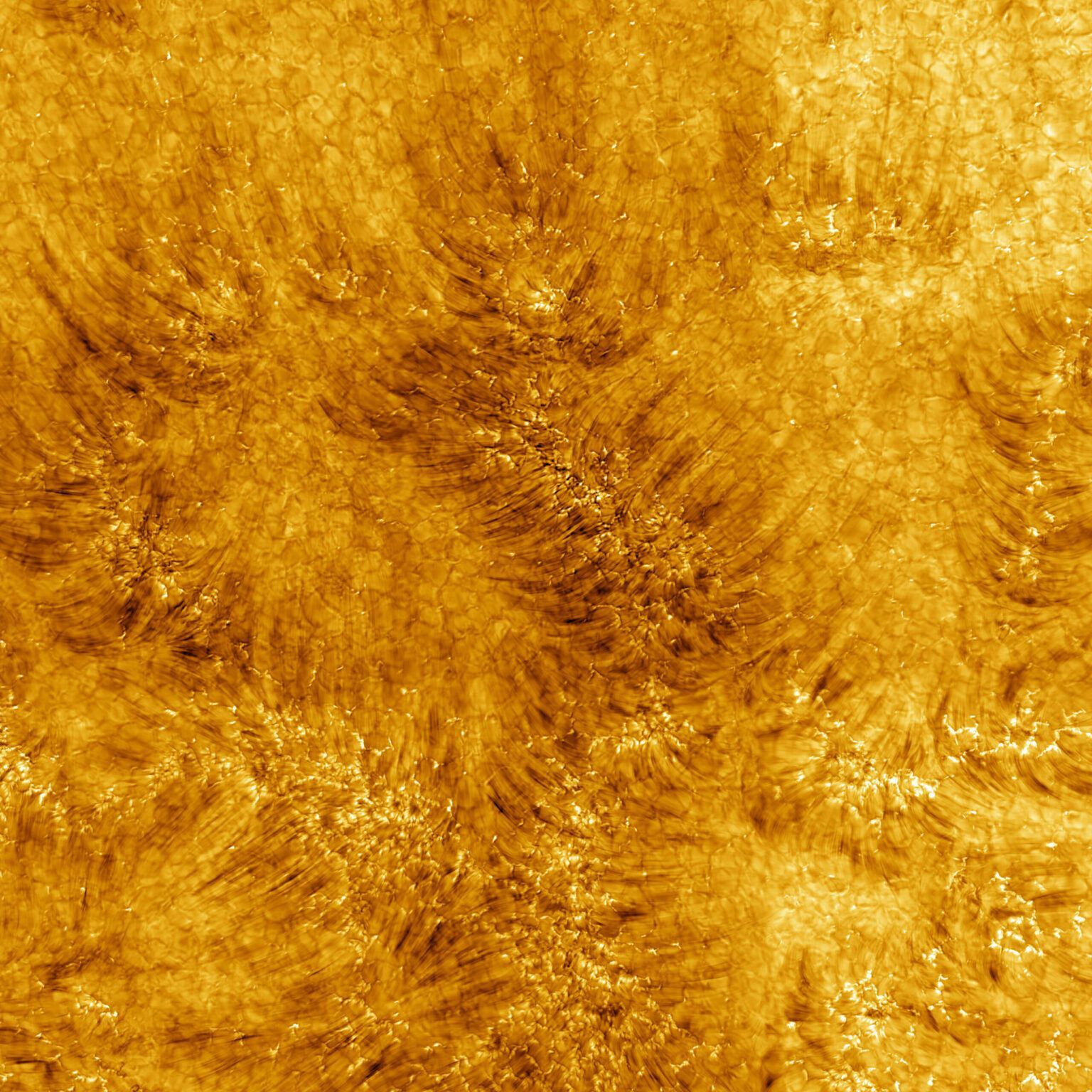 Телескоп DKIST зробив знімки хромосфери Сонця