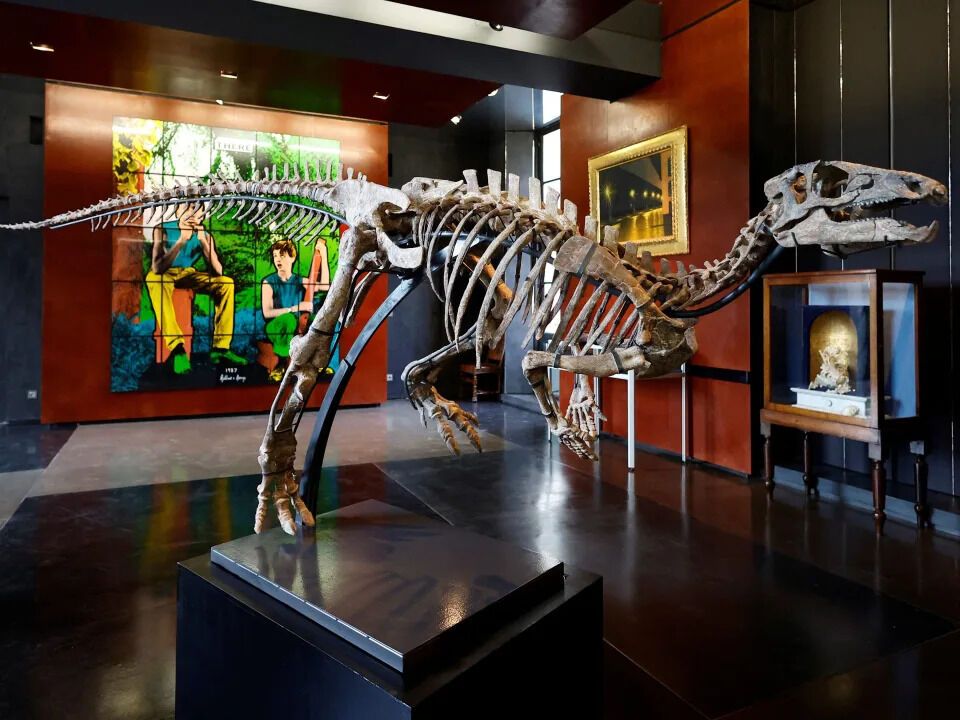 На аукціоні в Парижі виставили скелет динозавра, який можна придбати за 500 тисяч доларів