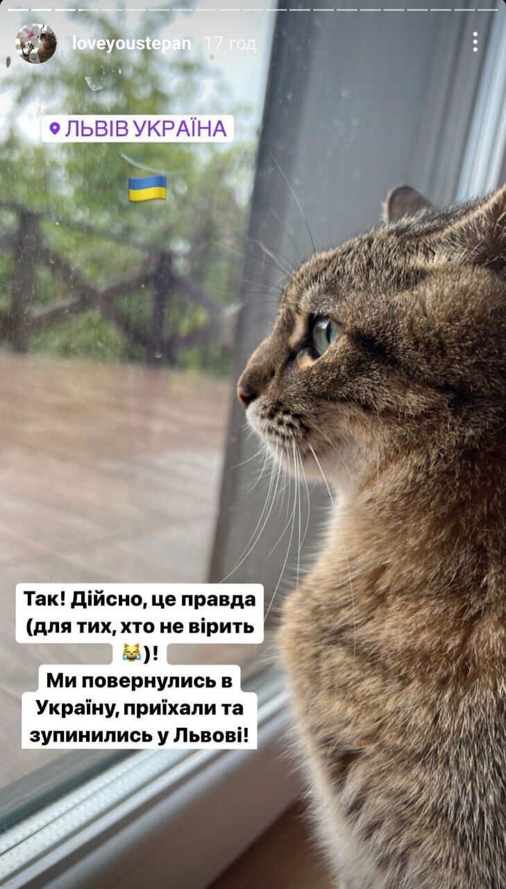 Кіт Степан повернувся до України
