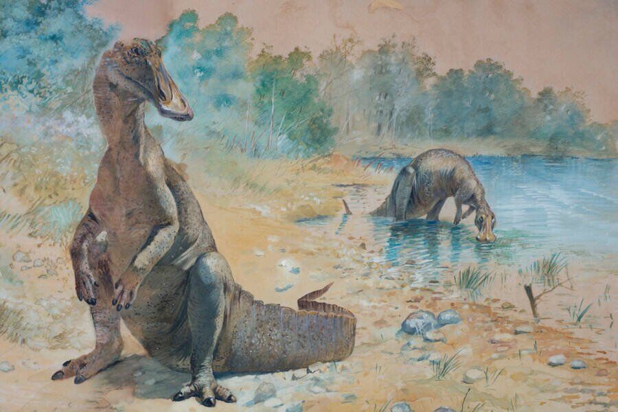 Как, по мнению исследователей, выглядели некоторые гадрозавры