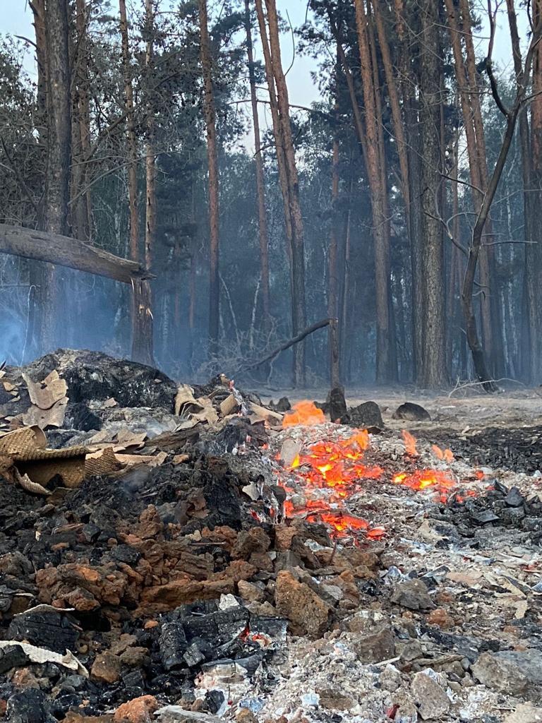 В Казахстане бушует пожар ужасающих размеров