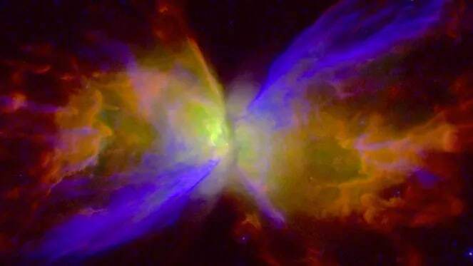 Цветовая передача NGC 6302, туманности Бабочка, создана на основе черно-белых снимков, сделанных космическим телескопом Хаббл в 2019 и 2020 годах. В фиолетовых областях сильные звездные ветры активно изменяют форму крыльев туманности за последние 900 лет. Возраст других элементов колеблется от 1200 до 2300 лет