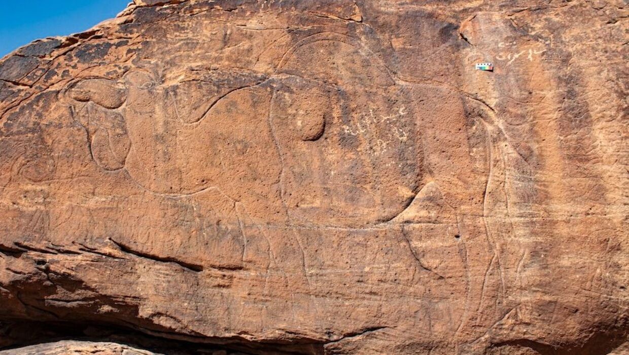 Unique rock carvings found in Saudi Arabia: photos