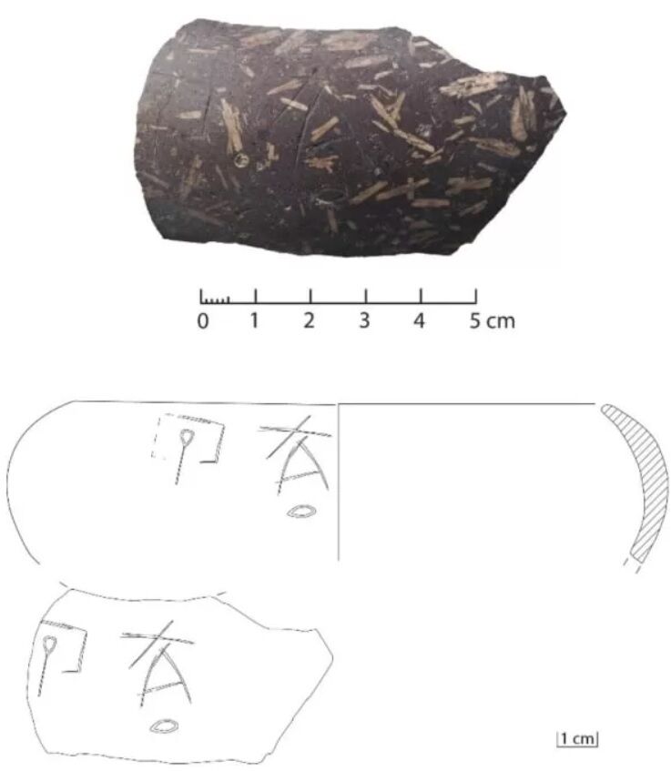 У Єгипті знайшли глиняні глеки з вином віком 5 тисяч років (фото)