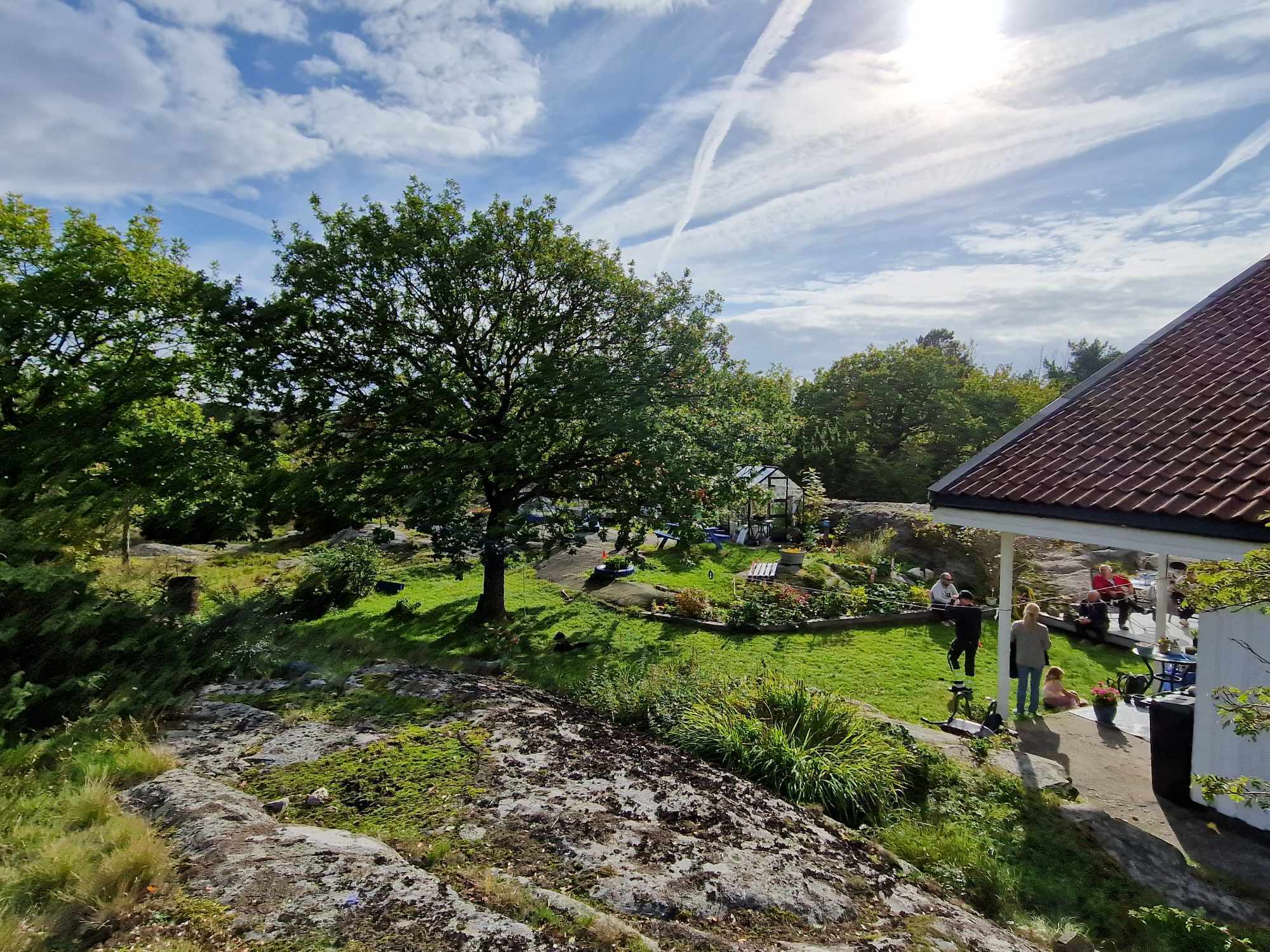 В Норвегии семья во дворе случайно обнаружила могилу викингов с украшениями в возрасте 1200 лет (фото)