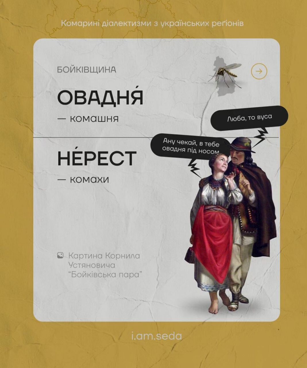 Цинцар, овадня и лярва: что общего в украинских ''комариных диалектизмах''