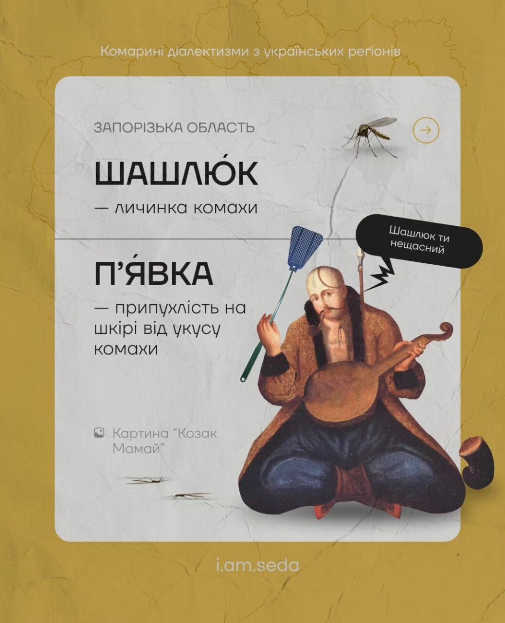 Цинцар, овадня та лярва: що спільного в українських ''комариних діалектизмах''