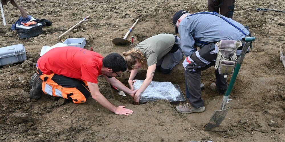 На морквяному полі у Швейцарії знайшли прикраси, яким 1500 років (фото та відео)