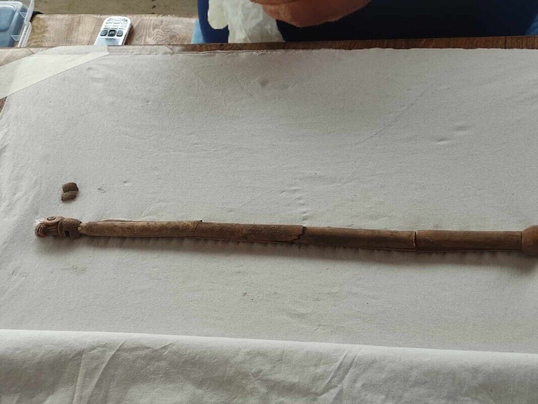 Unique Scythian bone scepter discovered in Bulgaria (photo)