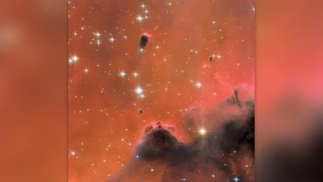 Hubble dostrzega ''kosmiczną kijankę w Morzu Czerwonym'': zdjęcie