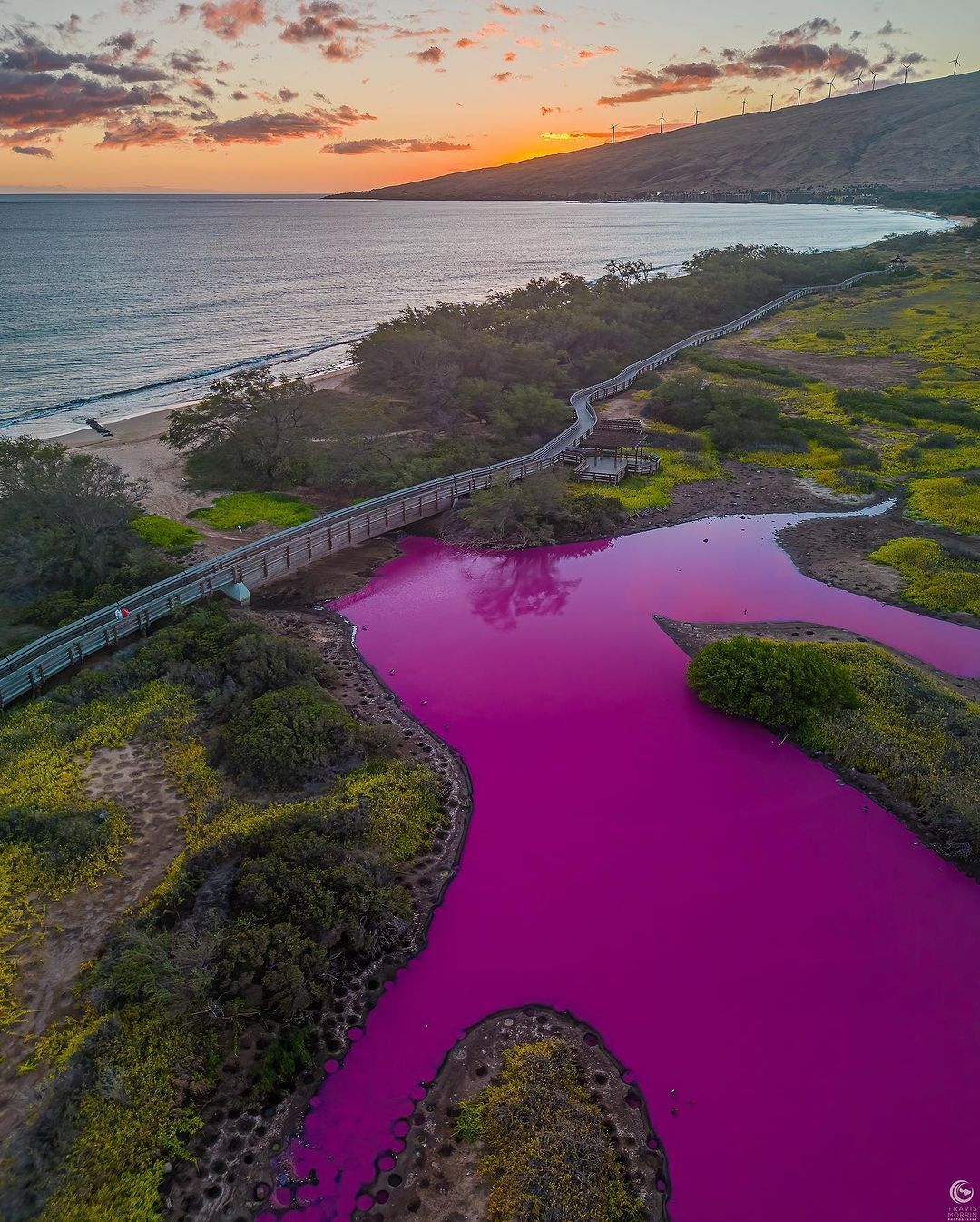 A lake in Hawaii has turned an incredible pink color: what is the reason (photos and video)