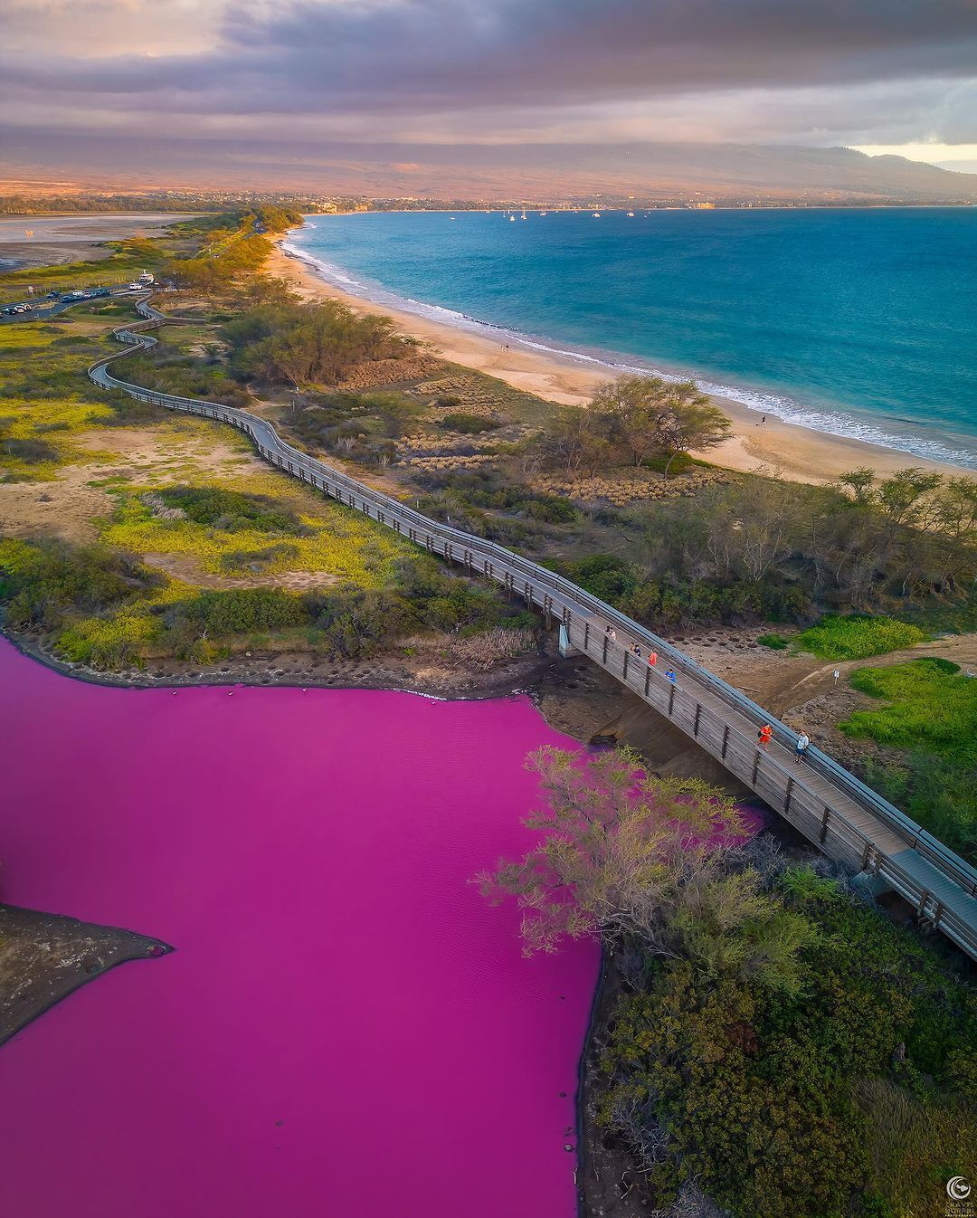 A lake in Hawaii has turned an incredible pink color: what is the reason (photos and video)