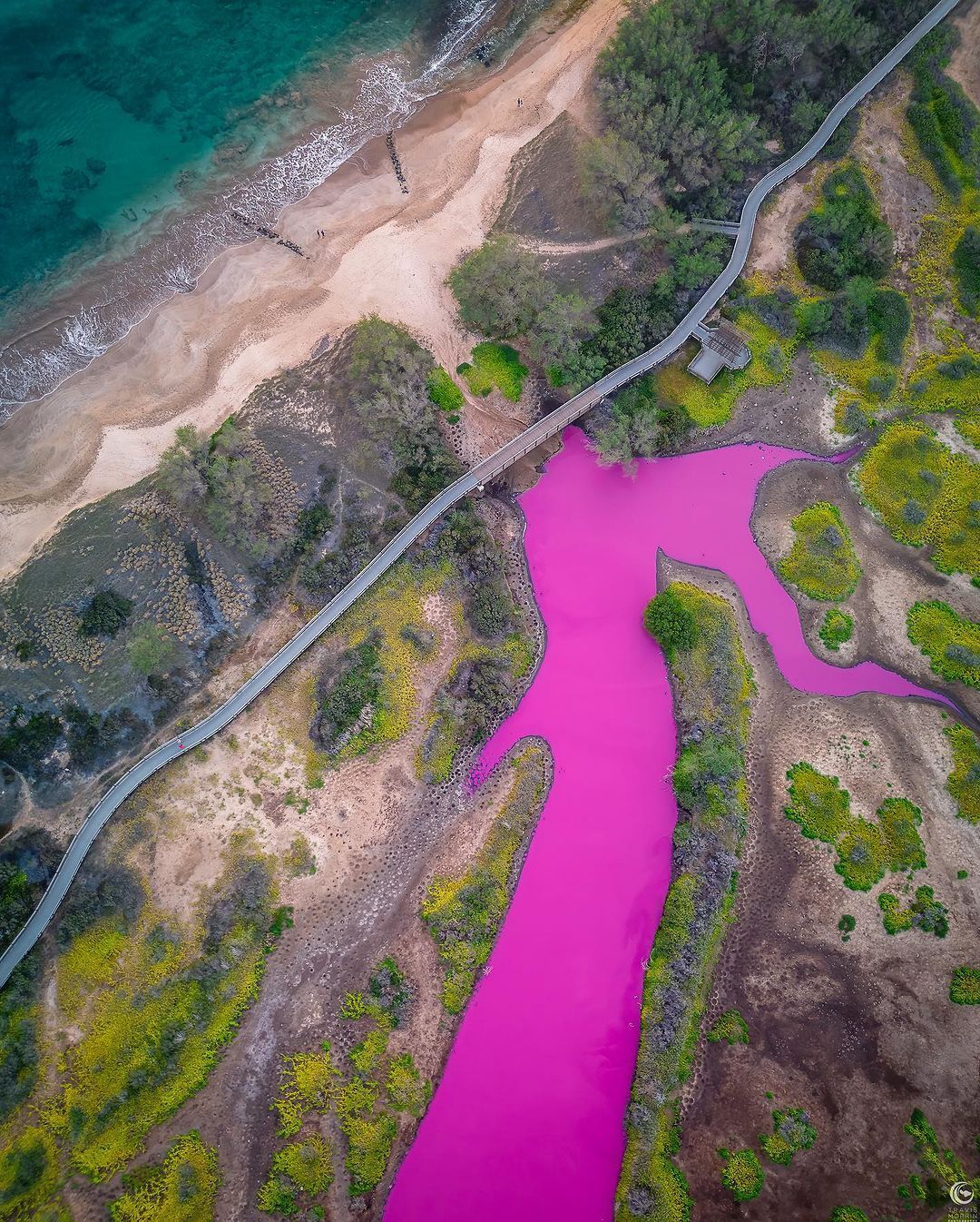 A lake in Hawaii has turned an incredible pink color: what is the reason (photos and video)