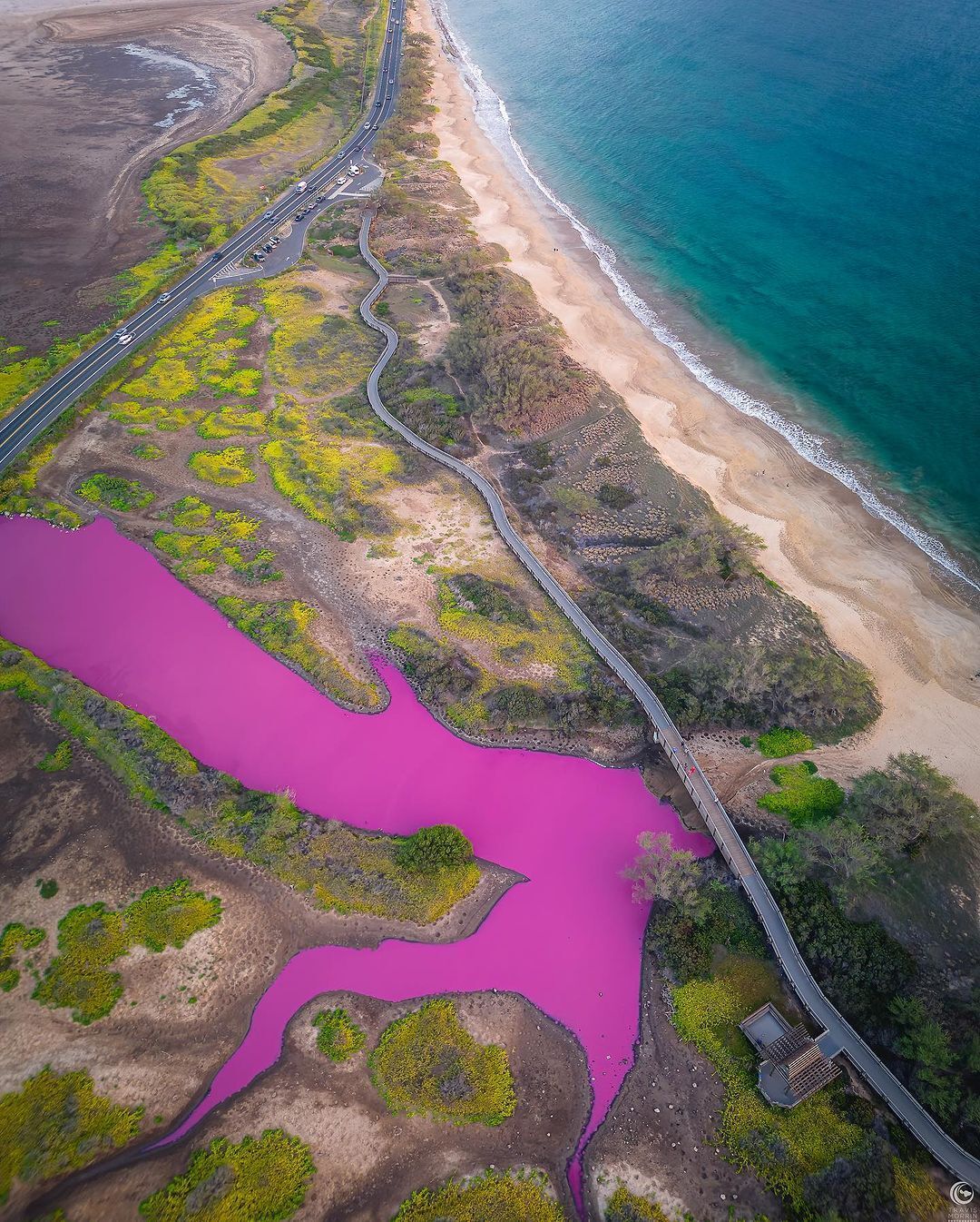 A lake in Hawaii has turned an incredible pink color: what is the reason (photos and video)