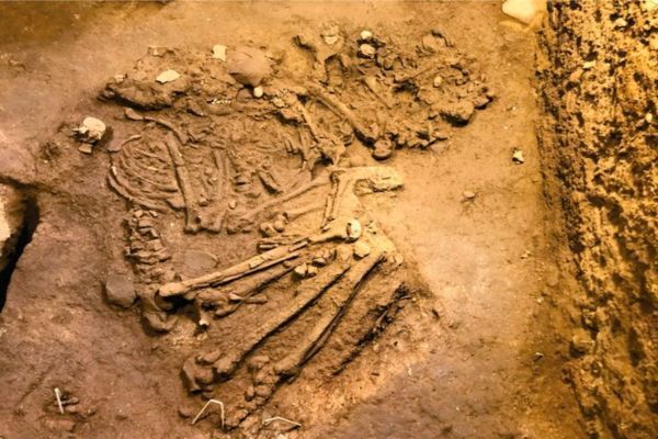 10,000-year-old human remains discovered in Vietnam for the first time (photo)