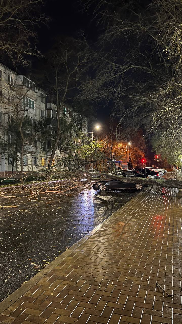 В Крыму штормовой ветер срывал крыши, огромные волны смыли набережную (видео)